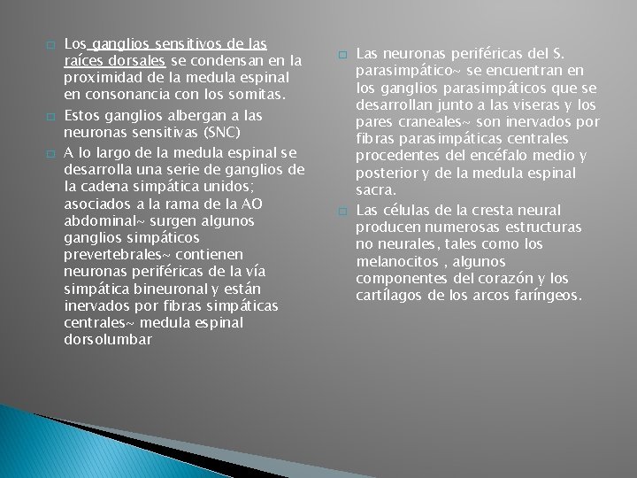 � � � Los ganglios sensitivos de las raíces dorsales se condensan en la