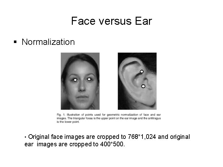 Face versus Ear § Normalization • Original face images are cropped to 768*1, 024