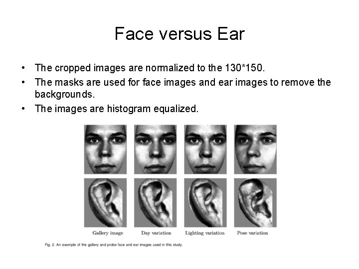 Face versus Ear • The cropped images are normalized to the 130*150. • The