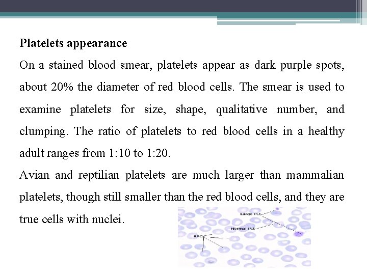 Platelets appearance On a stained blood smear, platelets appear as dark purple spots, about