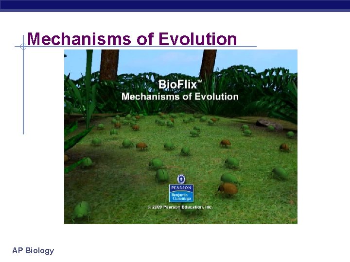 Mechanisms of Evolution AP Biology Mechanisms of Evolution AP Biology