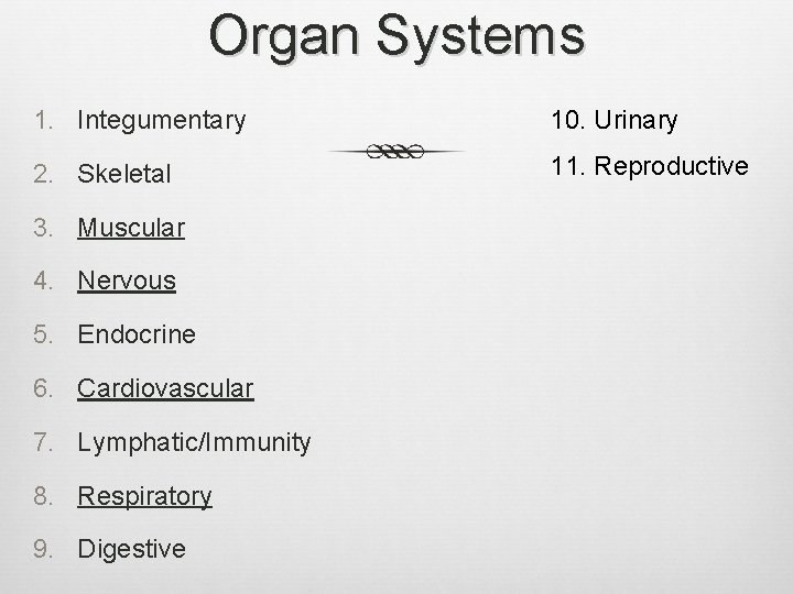 Organ Systems 1. Integumentary 10. Urinary 2. Skeletal 11. Reproductive 3. Muscular 4. Nervous