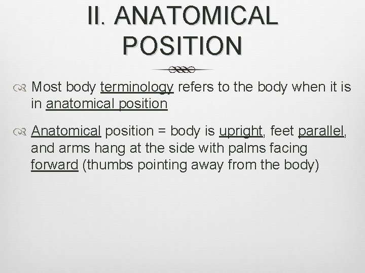 II. ANATOMICAL POSITION Most body terminology refers to the body when it is in