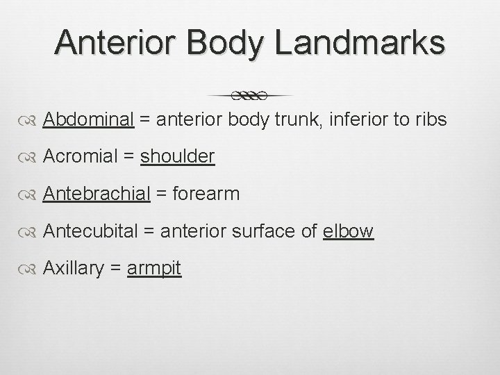 Anterior Body Landmarks Abdominal = anterior body trunk, inferior to ribs Acromial = shoulder