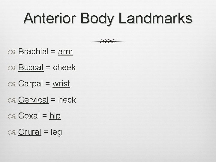 Anterior Body Landmarks Brachial = arm Buccal = cheek Carpal = wrist Cervical =
