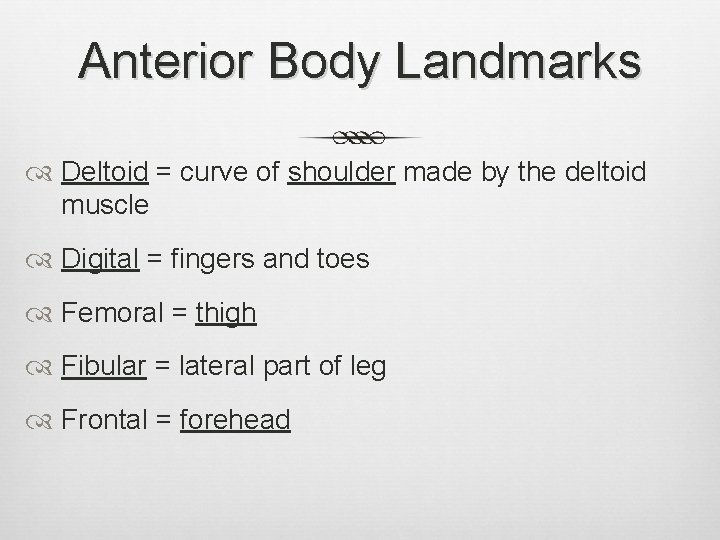 Anterior Body Landmarks Deltoid = curve of shoulder made by the deltoid muscle Digital