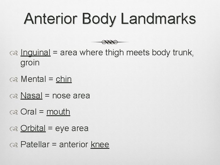 Anterior Body Landmarks Inguinal = area where thigh meets body trunk, groin Mental =