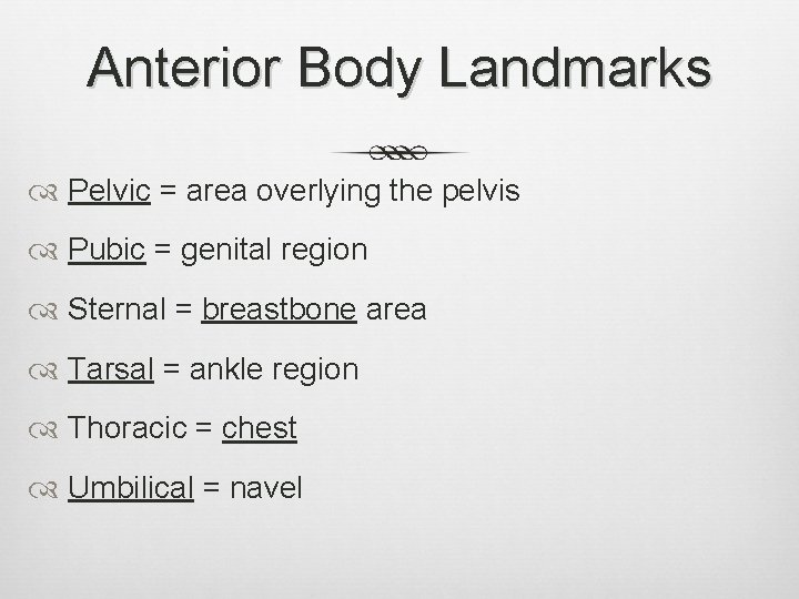 Anterior Body Landmarks Pelvic = area overlying the pelvis Pubic = genital region Sternal