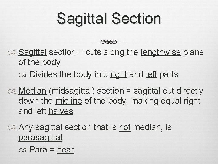 Sagittal Section Sagittal section = cuts along the lengthwise plane of the body Divides
