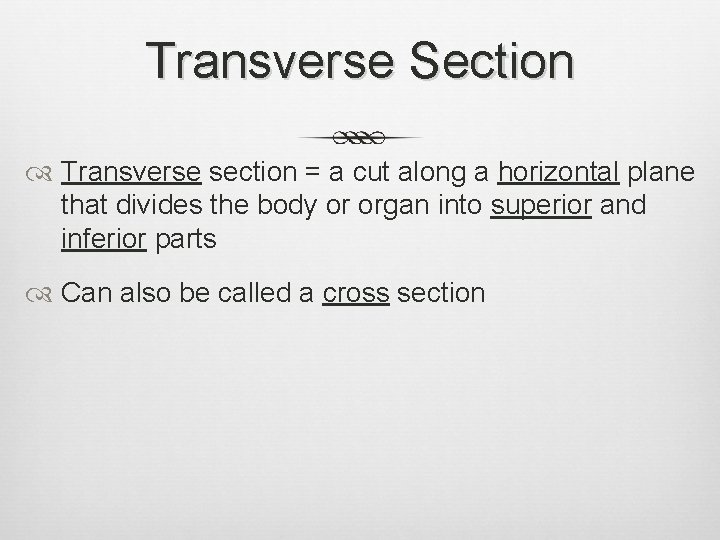 Transverse Section Transverse section = a cut along a horizontal plane that divides the