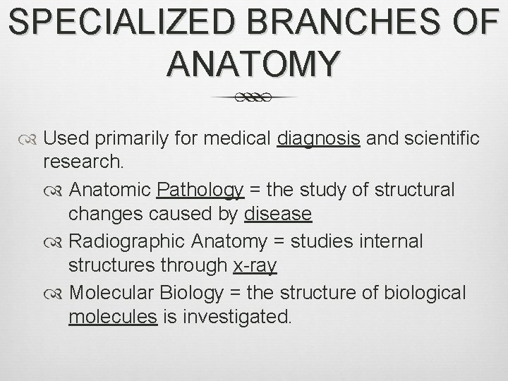 SPECIALIZED BRANCHES OF ANATOMY Used primarily for medical diagnosis and scientific research. Anatomic Pathology