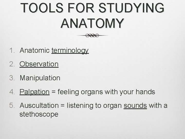 TOOLS FOR STUDYING ANATOMY 1. Anatomic terminology 2. Observation 3. Manipulation 4. Palpation =