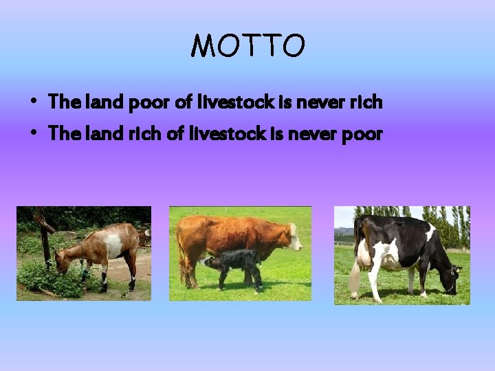 MOTTO • The land poor of livestock is never rich • The land rich