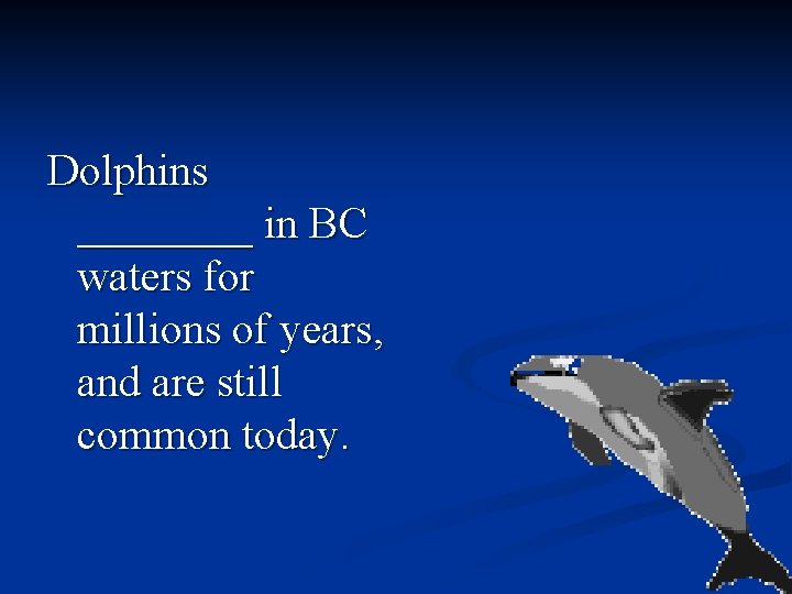 Dolphins ____ in BC waters for millions of years, and are still common today.