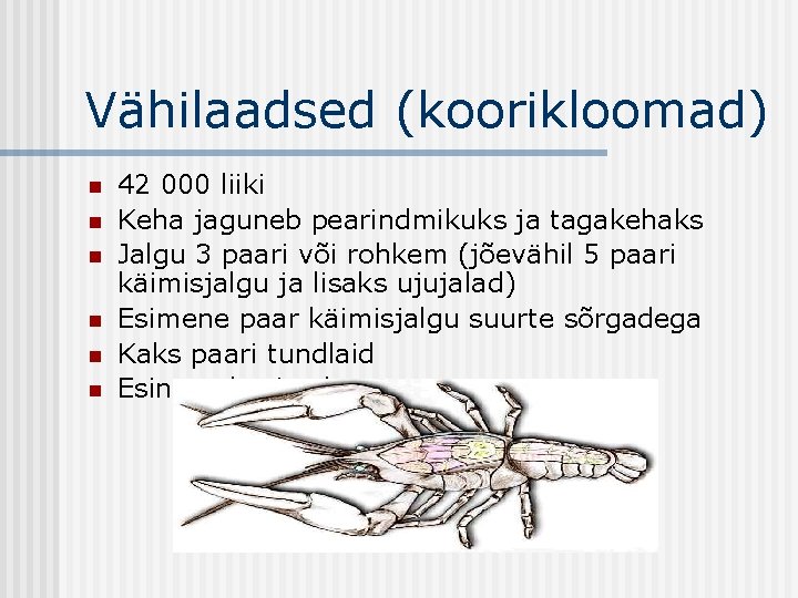 Vähilaadsed (koorikloomad) n n n 42 000 liiki Keha jaguneb pearindmikuks ja tagakehaks Jalgu