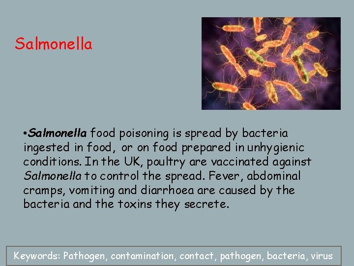 Salmonella • Salmonella food poisoning is spread by bacteria ingested in food, or on