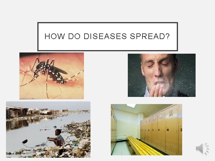 HOW DO DISEASES SPREAD? 