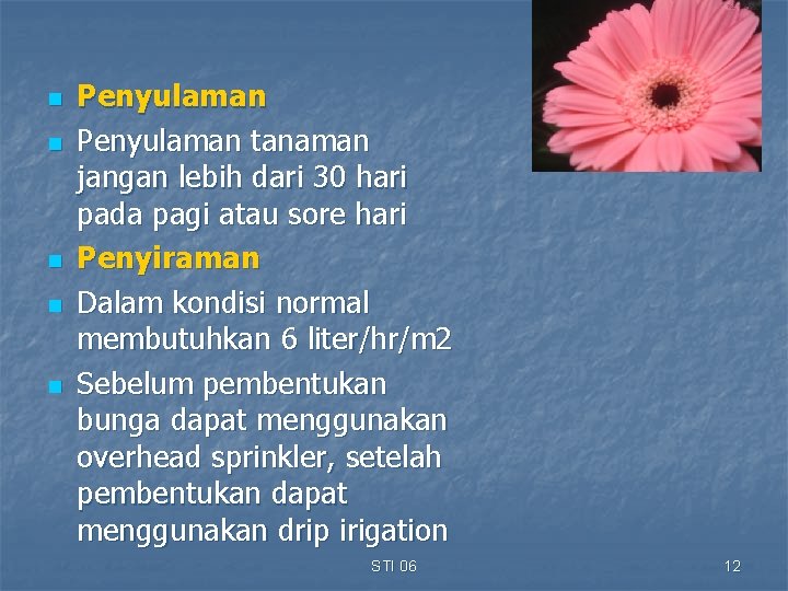 n n n Penyulaman tanaman jangan lebih dari 30 hari pada pagi atau sore