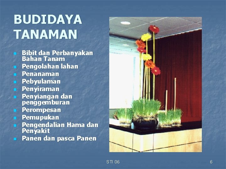 BUDIDAYA TANAMAN n n n n n Bibit dan Perbanyakan Bahan Tanam Pengolahan Penanaman