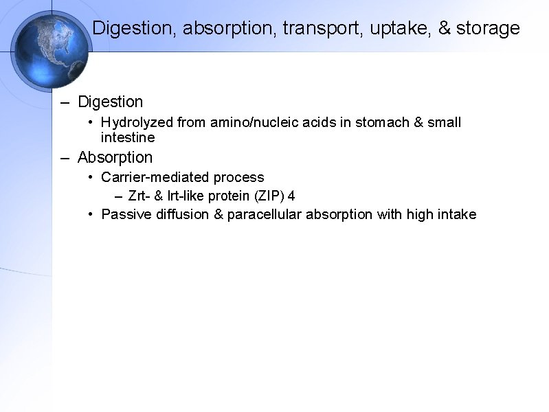 Digestion, absorption, transport, uptake, & storage – Digestion • Hydrolyzed from amino/nucleic acids in