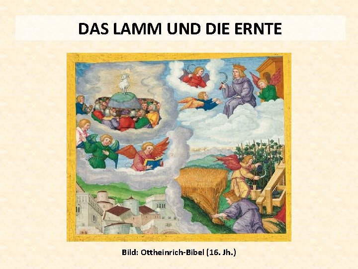 DAS LAMM UND DIE ERNTE Bild: Ottheinrich-Bibel (16. Jh. ) 