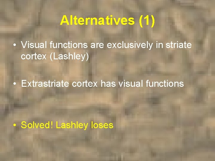 Alternatives (1) • Visual functions are exclusively in striate cortex (Lashley) • Extrastriate cortex