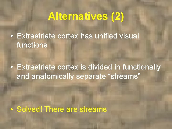 Alternatives (2) • Extrastriate cortex has unified visual functions • Extrastriate cortex is divided