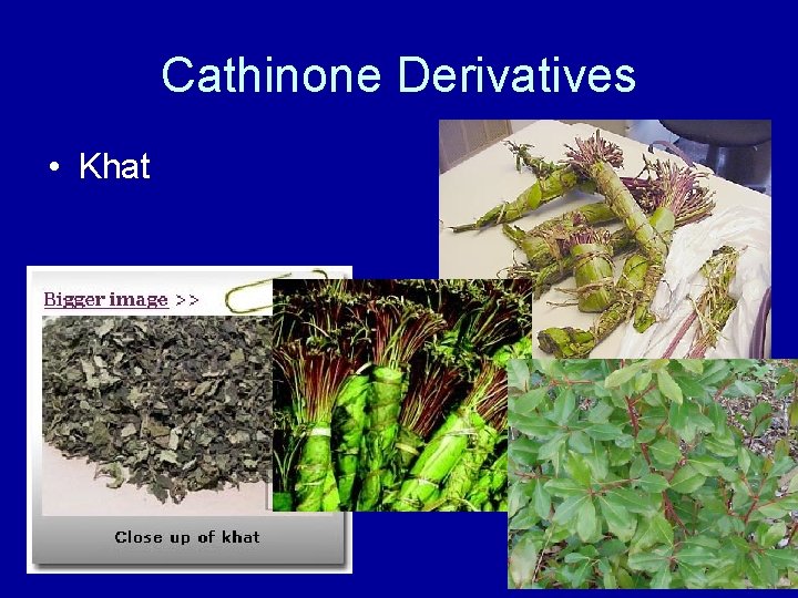 Cathinone Derivatives • Khat 