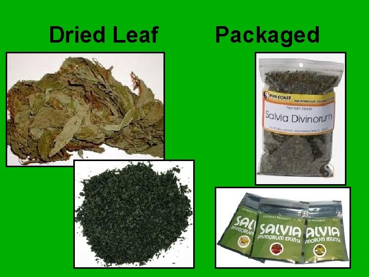 Dried Leaf Packaged 