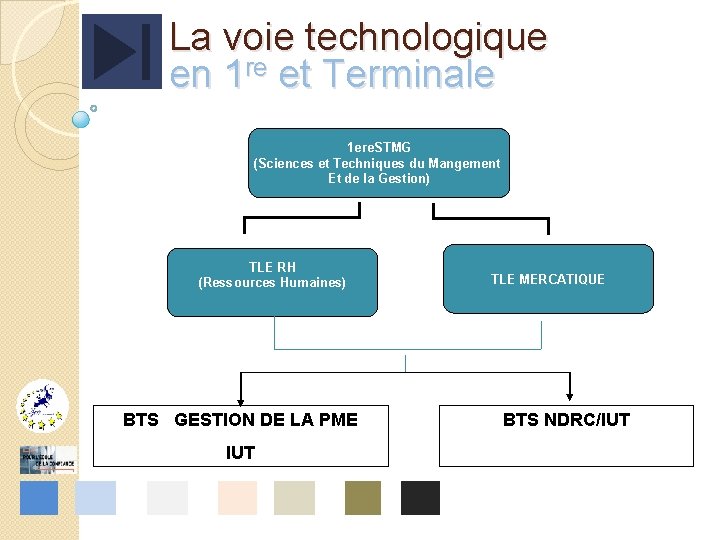 La voie technologique en 1 re et Terminale 1 ere. STMG (Sciences et Techniques