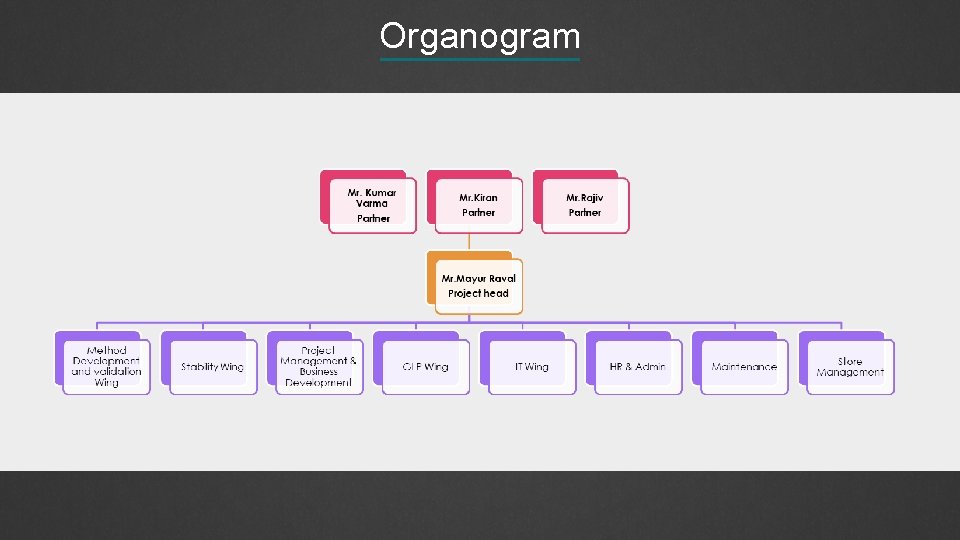 Organogram 