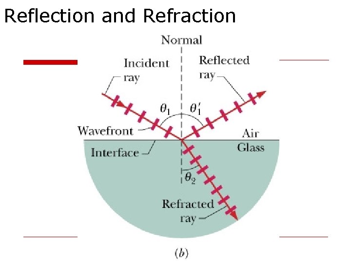 Reflection and Refraction 