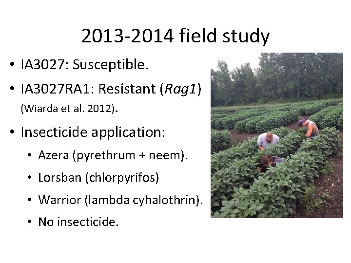 2013 -2014 field study • IA 3027: Susceptible. • IA 3027 RA 1: Resistant