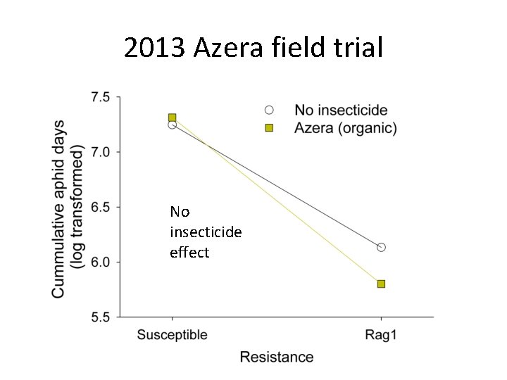 2013 Azera field trial No insecticide effect 