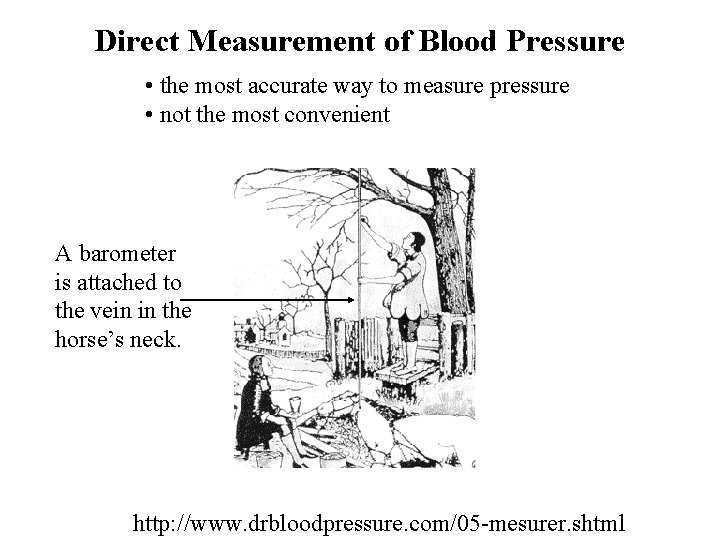 Direct Measurement of Blood Pressure • the most accurate way to measure pressure •