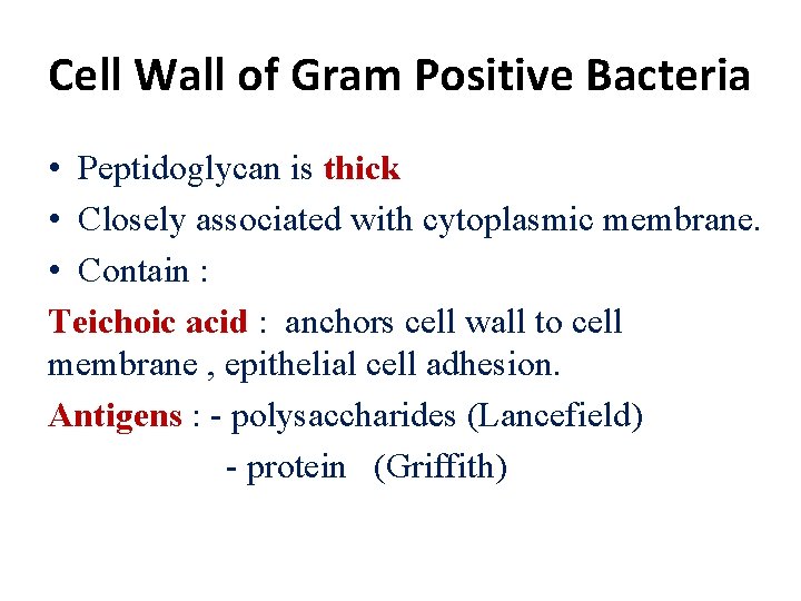 Cell Wall of Gram Positive Bacteria • Peptidoglycan is thick • Closely associated with