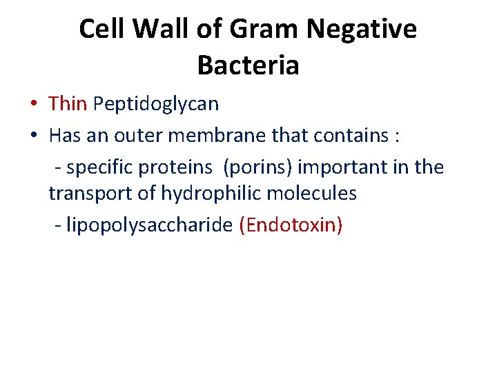 Cell Wall of Gram Negative Bacteria • Thin Peptidoglycan • Has an outer membrane