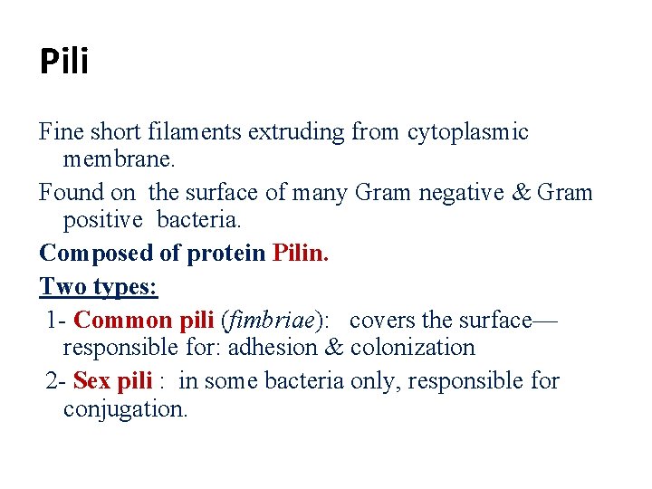 Pili Fine short filaments extruding from cytoplasmic membrane. Found on the surface of many