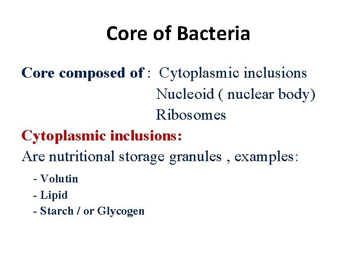 Core of Bacteria Core composed of : Cytoplasmic inclusions Nucleoid ( nuclear body) Ribosomes