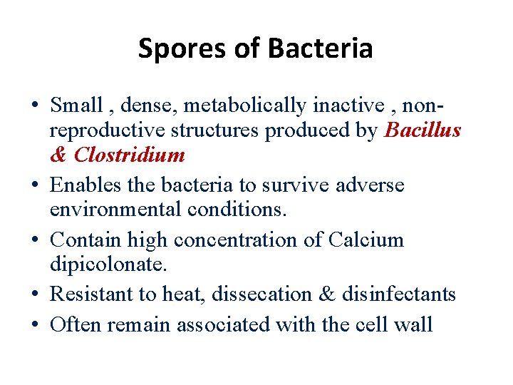 Spores of Bacteria • Small , dense, metabolically inactive , nonreproductive structures produced by