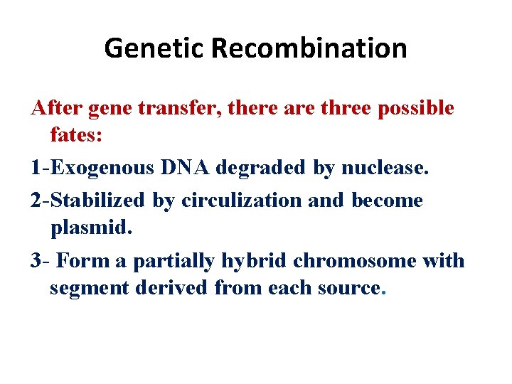 Genetic Recombination After gene transfer, there are three possible fates: 1 -Exogenous DNA degraded