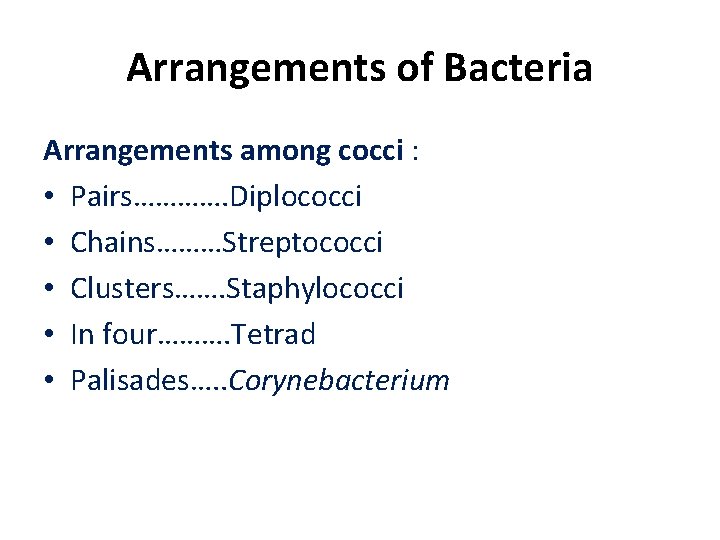 Arrangements of Bacteria Arrangements among cocci : • Pairs…………. Diplococci • Chains………Streptococci • Clusters…….