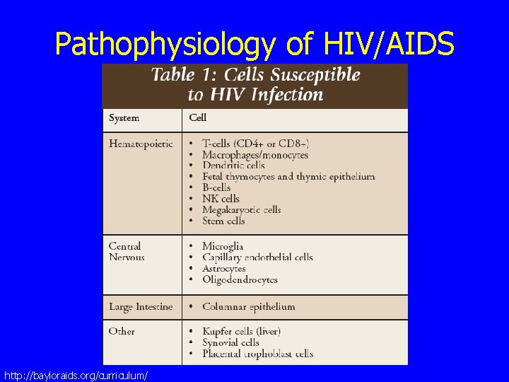Pathophysiology of HIV/AIDS http: //bayloraids. org/curriculum/ 