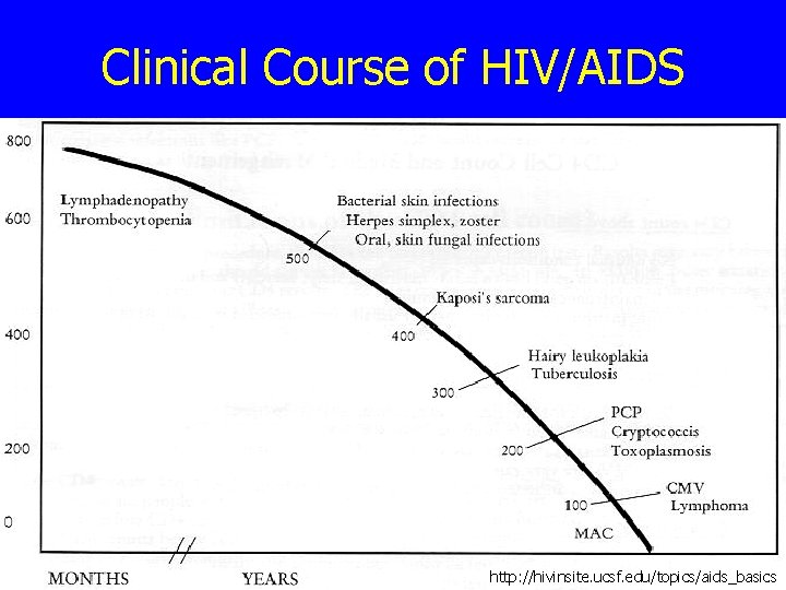 Clinical Course of HIV/AIDS http: //hivinsite. ucsf. edu/topics/aids_basics 