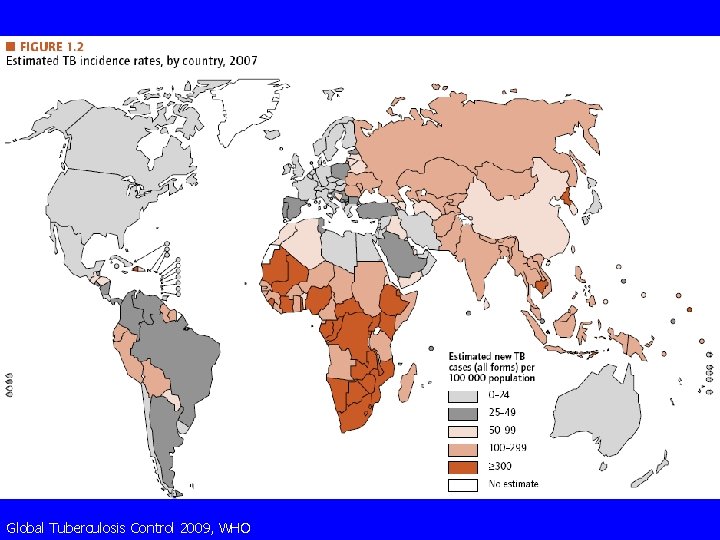 Global Tuberculosis Control 2009, WHO 
