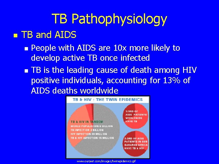 TB Pathophysiology n TB and AIDS n n People with AIDS are 10 x