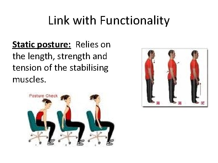 Link with Functionality Static posture: Relies on the length, strength and tension of the