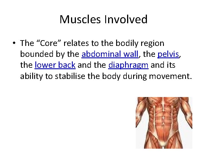 Muscles Involved • The “Core” relates to the bodily region bounded by the abdominal