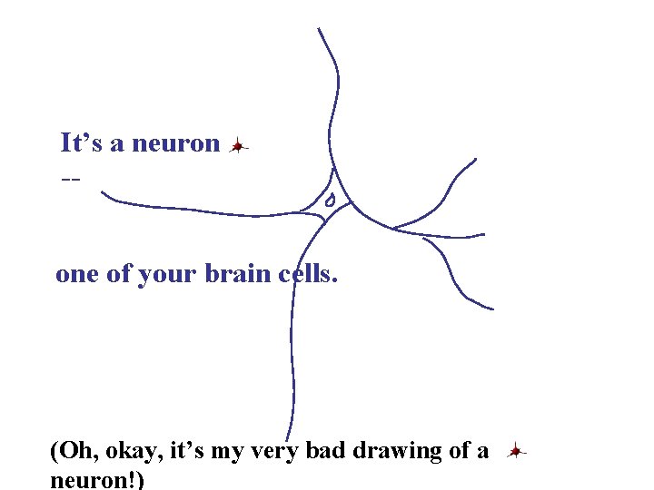 It’s a neuron -one of your brain cells. (Oh, okay, it’s my very bad