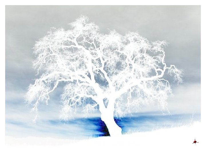 In fact, the word “dendrite” comes from the Greek word for trees. Horowitz, Lenore